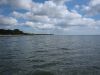 Im Wasser